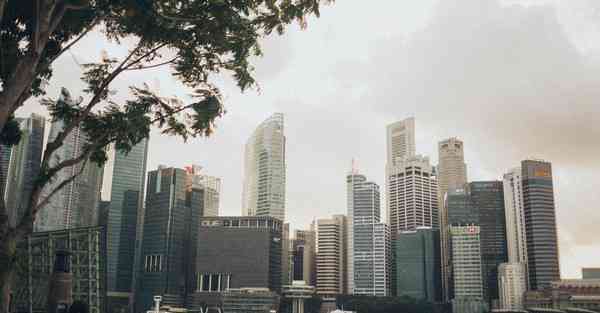 大数据影视软件