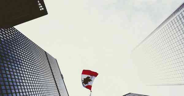 大数据影视软件