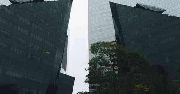 大数据影视软件