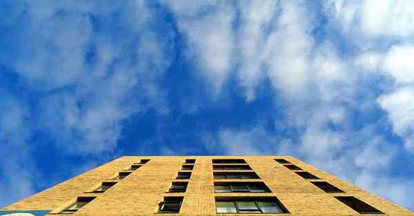 人工智能软体机器人技术