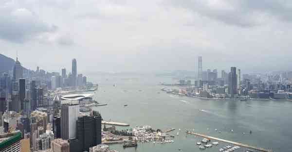 外国语单招大数据的行业文章