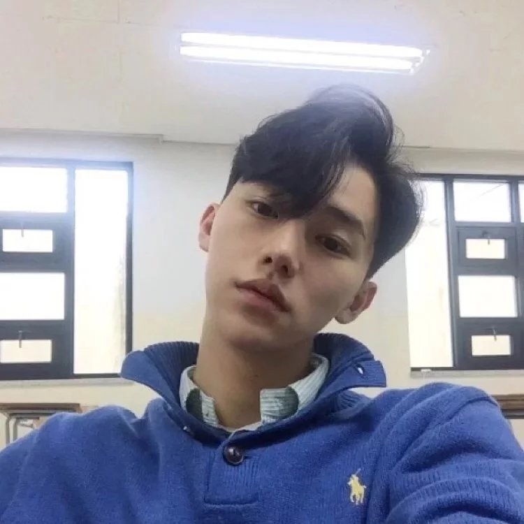 师辰民飞