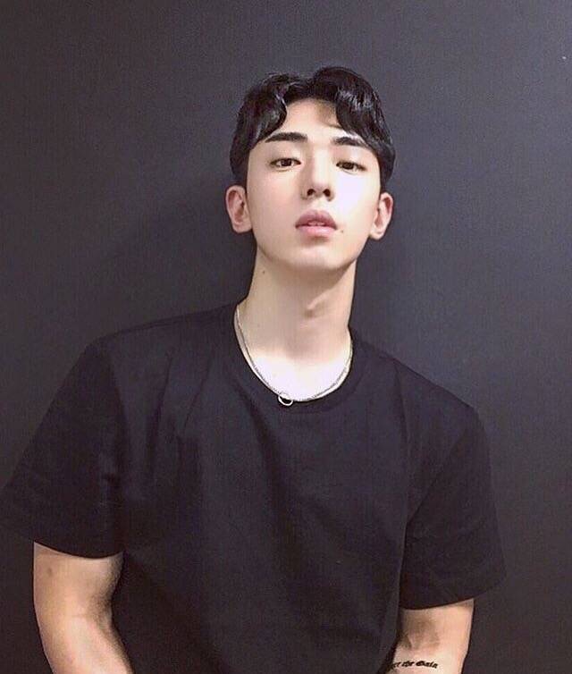 魏静卿飞