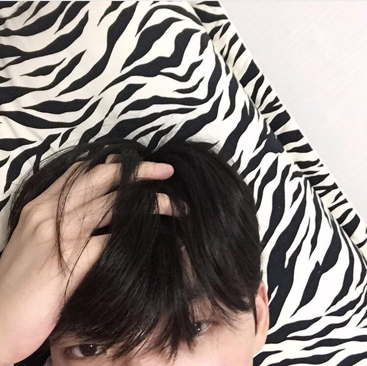 凤谦叶蝶