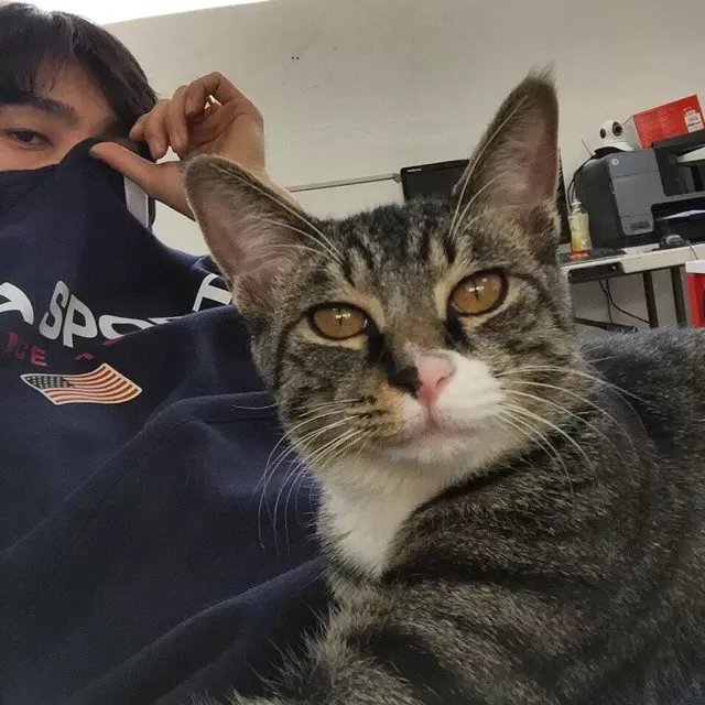 杭瑞辰琼