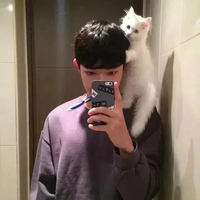 彭奇辰生