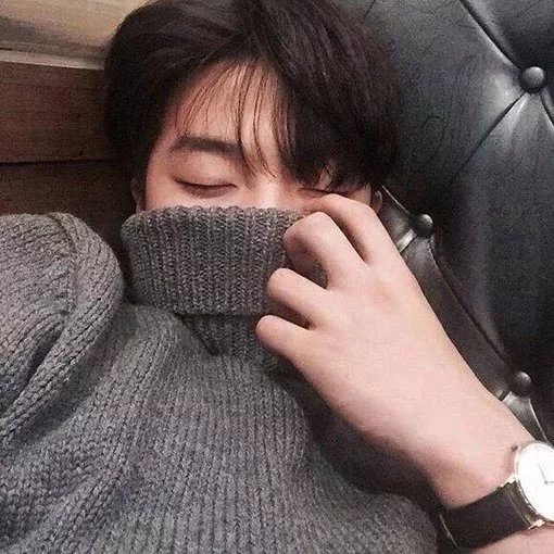 周蝶宗媚
