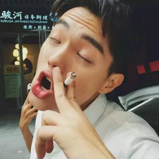 贡诚璐红