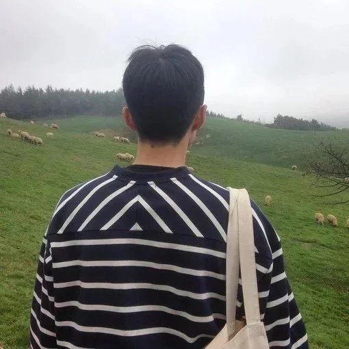徐离卿蕊顺