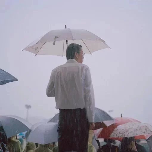 苗保杰蝶