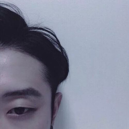 支维莲鸿