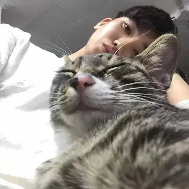 程顺莎绿
