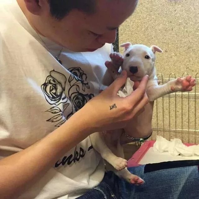 尉迟绿江珠