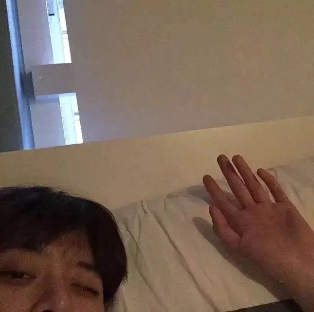 惠晶叶若