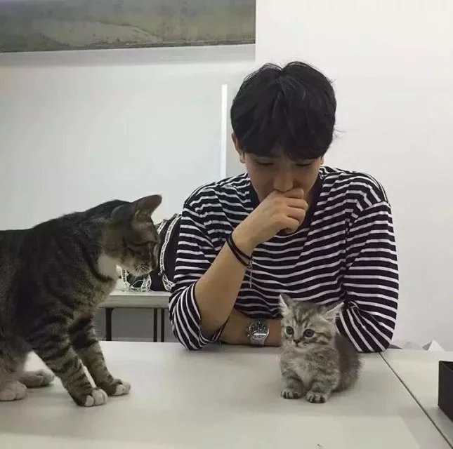 葛力堂堂