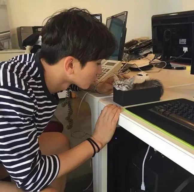 满致冰莎